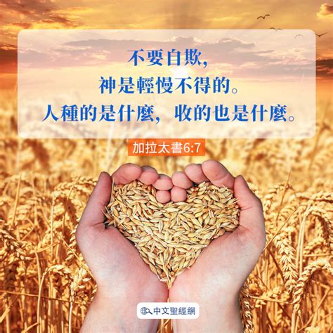 種什麼收什麼|加拉太書 6:7 不要自欺，神是輕慢不得的。人種的是什麼，收的也。